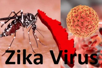 Zika Virus