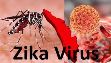 Zika Virus