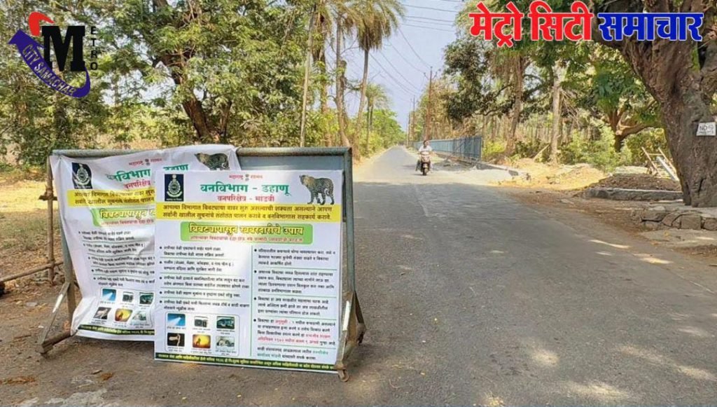 Vasai Fort Leopard Roaming Free :दहशत में जी रहे है वसई किला क्षेत्र के निवासी,अभी भी पकड़ से बाहर है तेंदुआ