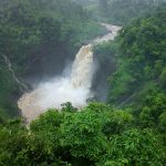 Palghar Dabhosa Waterfalls Accident : दाभोसा झरना में रोमांच की जूनून में गई जान,एक की मौत,दूसरा गंभीर रूप से घायल
