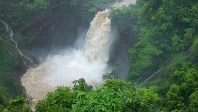 Palghar Dabhosa Waterfalls Accident : दाभोसा झरना में रोमांच की जूनून में गई जान,एक की मौत,दूसरा गंभीर रूप से घायल