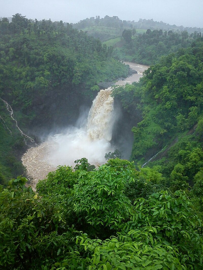 Palghar Dabhosa Waterfalls Accident : दाभोसा झरना में रोमांच की जूनून में गई जान,एक की मौत,दूसरा गंभीर रूप से घायल