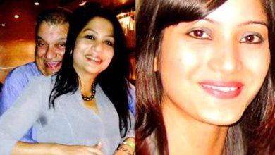 The Sheena Vora Murder Case