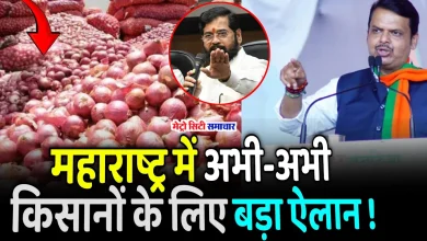 Onion Export: सरकार ने प्याज के एक्सपोर्ट पर ड्यूटी घटाई, सूरजमुखी और सोयाबीन तेल पर सीमा शुल्क बढ़ाया