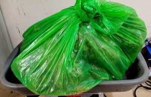 मुंबई एयरपोर्ट पर ₹3.47 करोड़ का गांजा बरामद