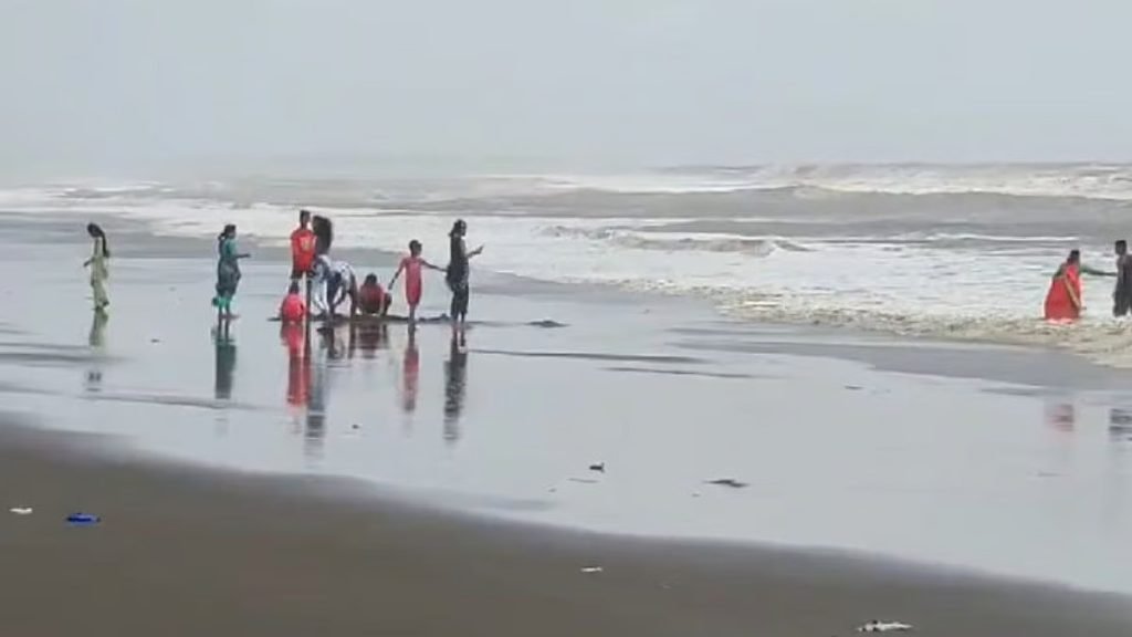 arnala beach