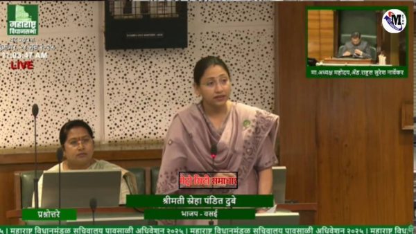 तटीय इलाके में मरे हुए मैंग्रोव पेड़ों की तस्वीर, जमीन पर अतिक्रमण के प्रयास