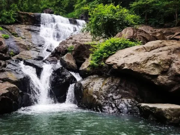 चिंचोटी झरना पुलिस बंदोबस्त प्रतिबंध