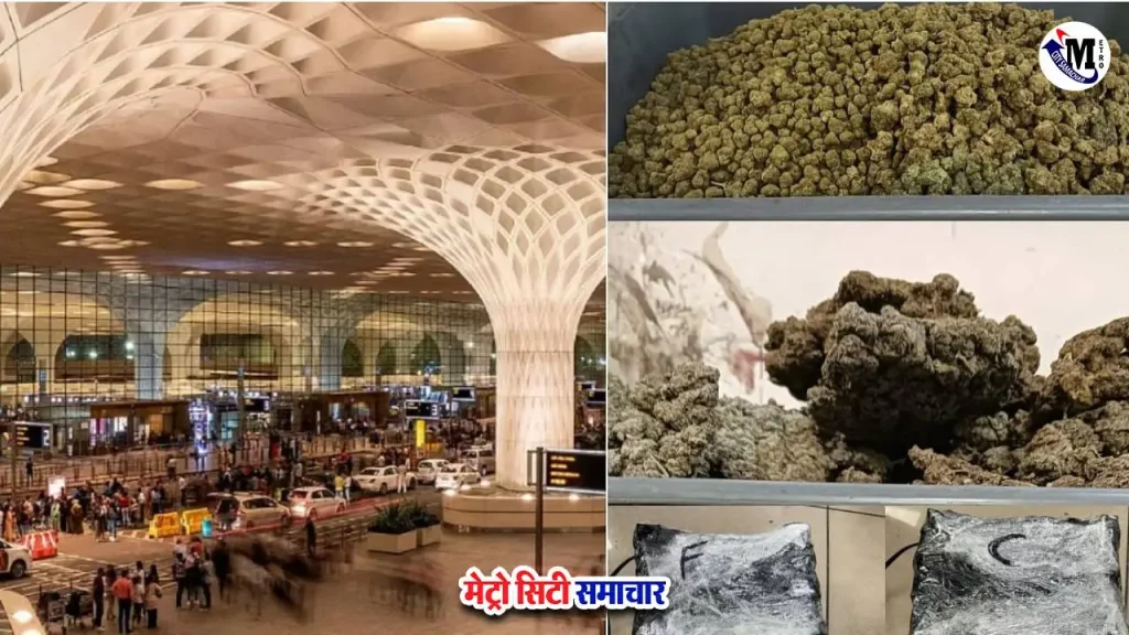 मुंबई एयरपोर्ट कस्टम्स ड्रग्स गिरफ्तारी, हाइड्रोपोनिक गांजा बरामद