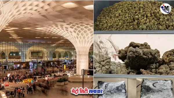 मुंबई एयरपोर्ट कस्टम्स ड्रग्स गिरफ्तारी, हाइड्रोपोनिक गांजा बरामद
