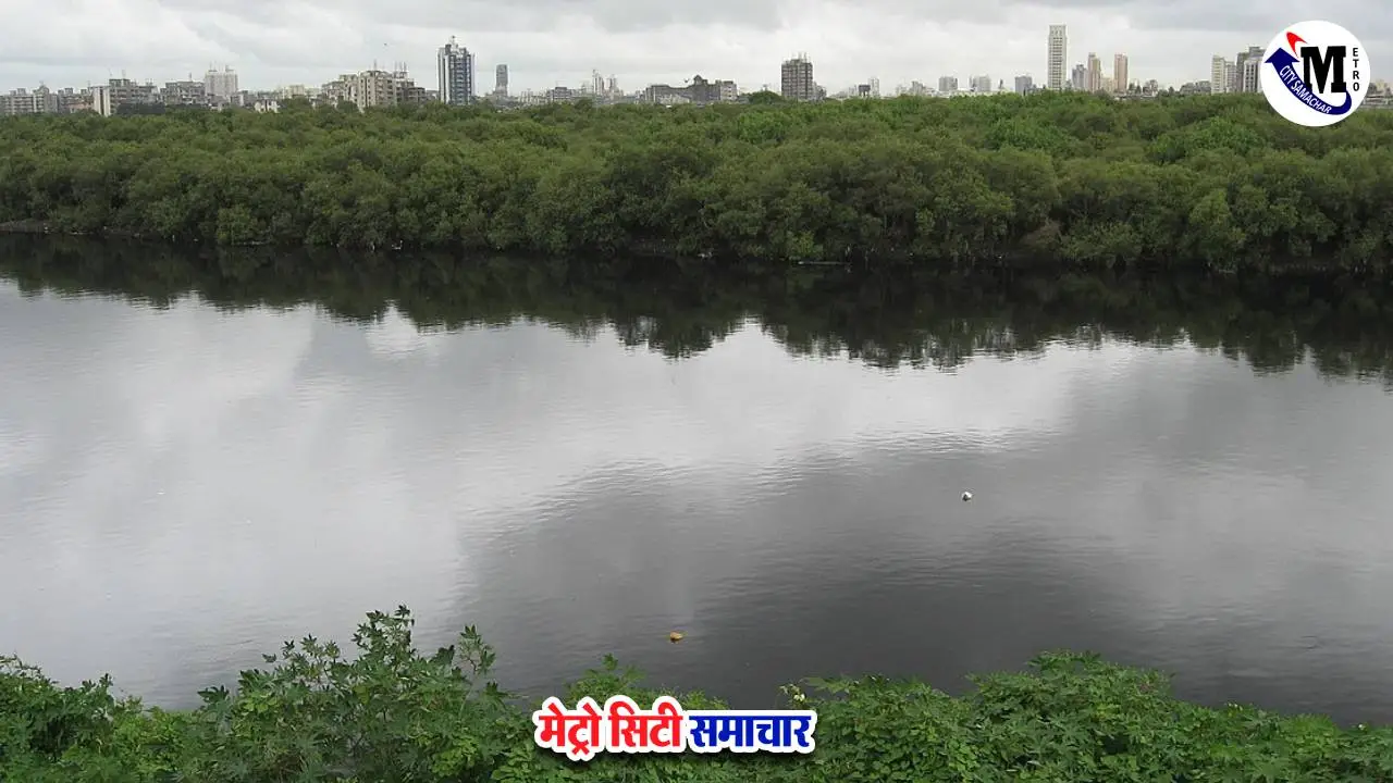 ईडी ने मीठी नदी सफाई घोटाले में 47 करोड़ की संपत्ति जब्त की