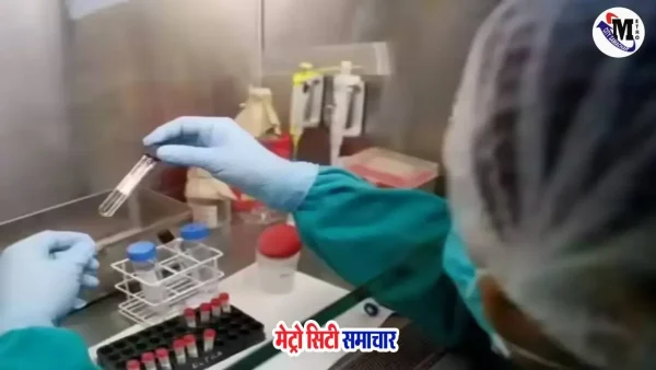 आपली चिकित्सा योजना मुंबई – रिपोर्ट व्हाट्सऐप पर