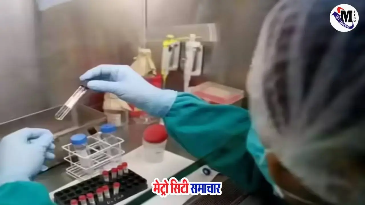 आपली चिकित्सा योजना मुंबई – रिपोर्ट व्हाट्सऐप पर