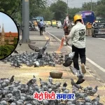 मुंबई में कबूतरों को दाना डालने पर FIR दर्ज