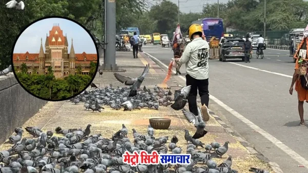मुंबई में कबूतरों को दाना डालने पर FIR दर्ज