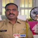 माहिम में कबूतरों को दाना खिलाना प्रतिबंधित, FIR दर्ज