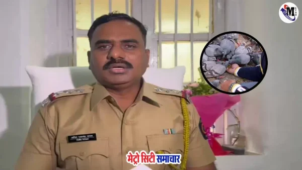 माहिम में कबूतरों को दाना खिलाना प्रतिबंधित, FIR दर्ज