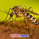 मुंबई में चिकनगुनिया के बढ़ते मामले