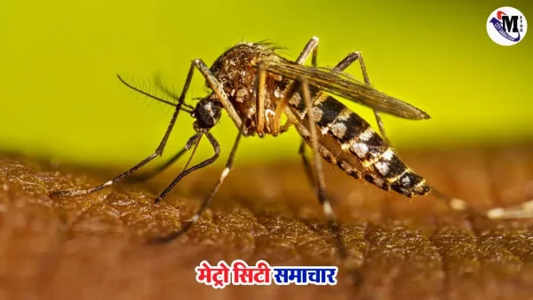 मुंबई में चिकनगुनिया के बढ़ते मामले