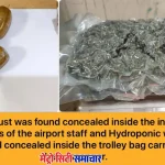 मुंबई एयरपोर्ट पर तस्करी में जब्त सोना और मादक पदार्थ