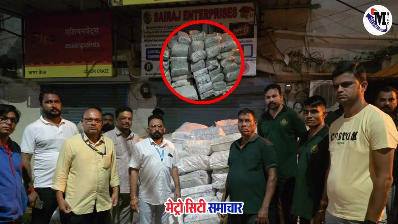 वसई-विरार मनपा छापेमारी प्लास्टिक जब्ती