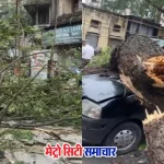 मुंबई दादर में टैक्सी पर गिरे पेड़ की घटना का दृश्य