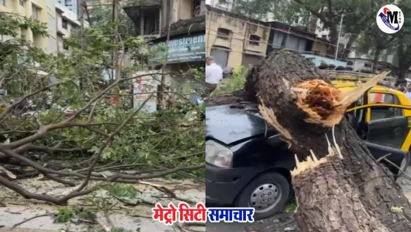 मुंबई दादर में टैक्सी पर गिरे पेड़ की घटना का दृश्य