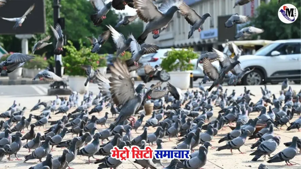 मुंबई फोर्ट कबूतरखाना केस चेतन ठक्कर FIR