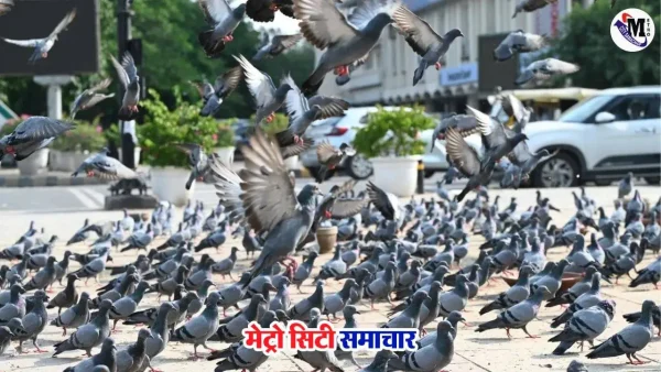 मुंबई फोर्ट कबूतरखाना केस चेतन ठक्कर FIR