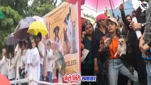 मुंबई में आवारा कुत्तों के खिलाफ सुप्रीम कोर्ट आदेश पर विरोध