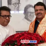 राज ठाकरे और देवेंद्र फडणवीस मुलाकात