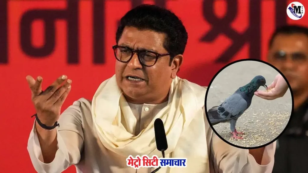 राज ठाकरे कबूतर विवाद बयान