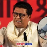 राज ठाकरे कबूतर विवाद बयान