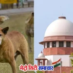 सुप्रीम कोर्ट आवारा कुत्ते आदेश, महाराष्ट्र नेताओं की प्रतिक्रिया