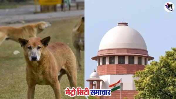 सुप्रीम कोर्ट आवारा कुत्ते आदेश, महाराष्ट्र नेताओं की प्रतिक्रिया