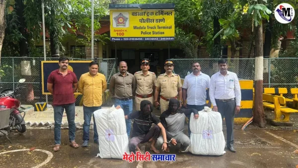 वडाला पुलिस ने कार से गांजा बरामद किया