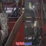 मुंबई पवई आईआईटी मार्केट बिजली बॉक्स से मिला अजगर