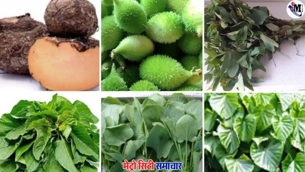 पालघर में आदिवासी समाज का रानभाजी महोत्सव