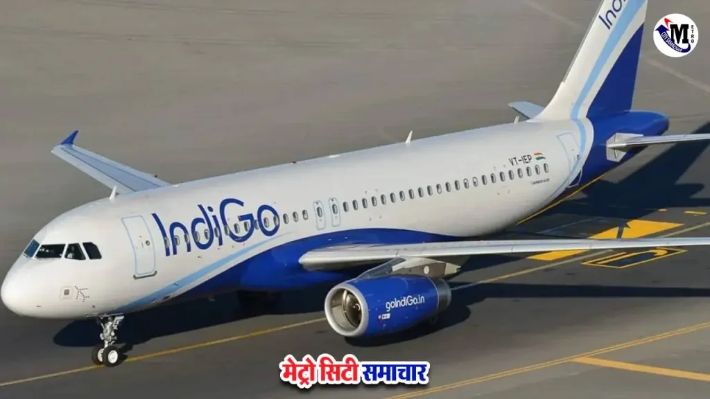 इंडिगो फ्लाइट 6E 812 नागपुर बर्ड स्ट्राइक