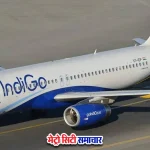 इंडिगो फ्लाइट 6E 812 नागपुर बर्ड स्ट्राइक