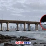मुंबई सीलिंक पर कारोबारी ने लगाई छलांग