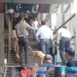 मुंबई गुंडावली मेट्रो स्टेशन पर मिला संदिग्ध काला बैग, BDDS जांच में कोई खतरनाक वस्तु नहीं