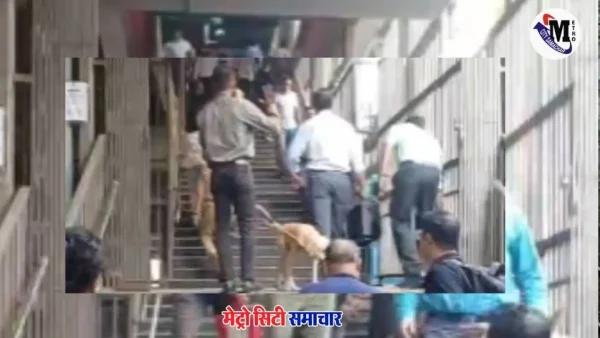 मुंबई गुंडावली मेट्रो स्टेशन पर मिला संदिग्ध काला बैग, BDDS जांच में कोई खतरनाक वस्तु नहीं