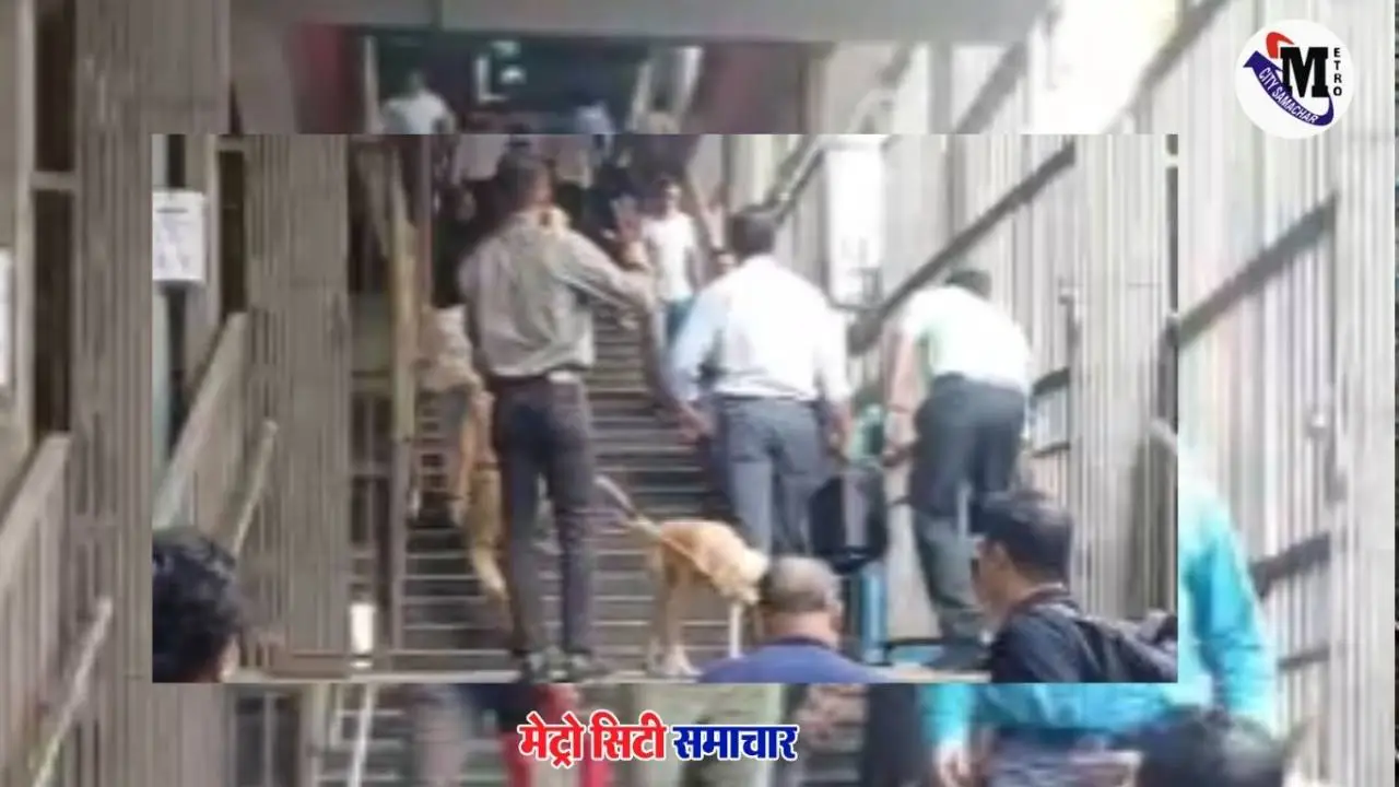 मुंबई गुंडावली मेट्रो स्टेशन पर मिला संदिग्ध काला बैग, BDDS जांच में कोई खतरनाक वस्तु नहीं