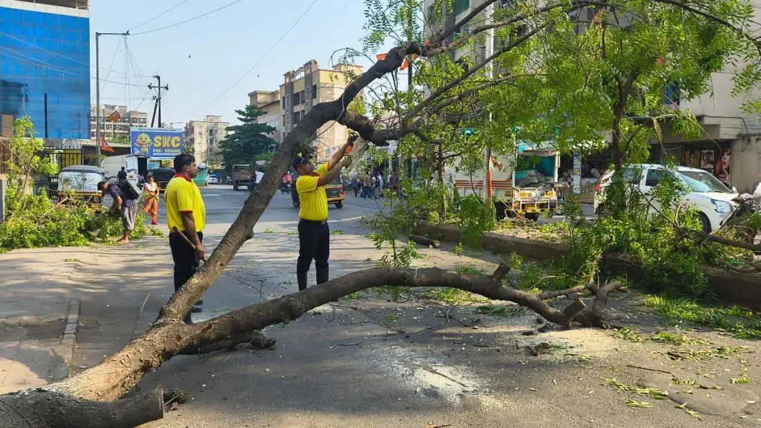 नालासोपारा में रिक्षा पर गिरा पेड़, यात्री सुरक्षित
