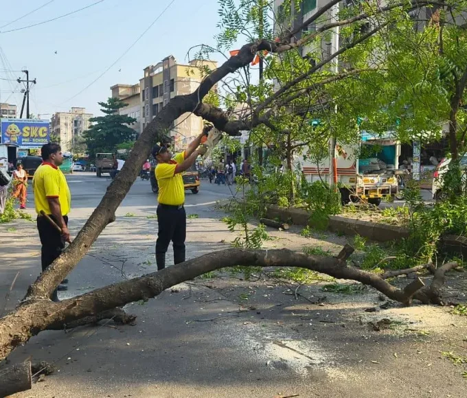 नालासोपारा में रिक्षा पर गिरा पेड़, यात्री सुरक्षित
