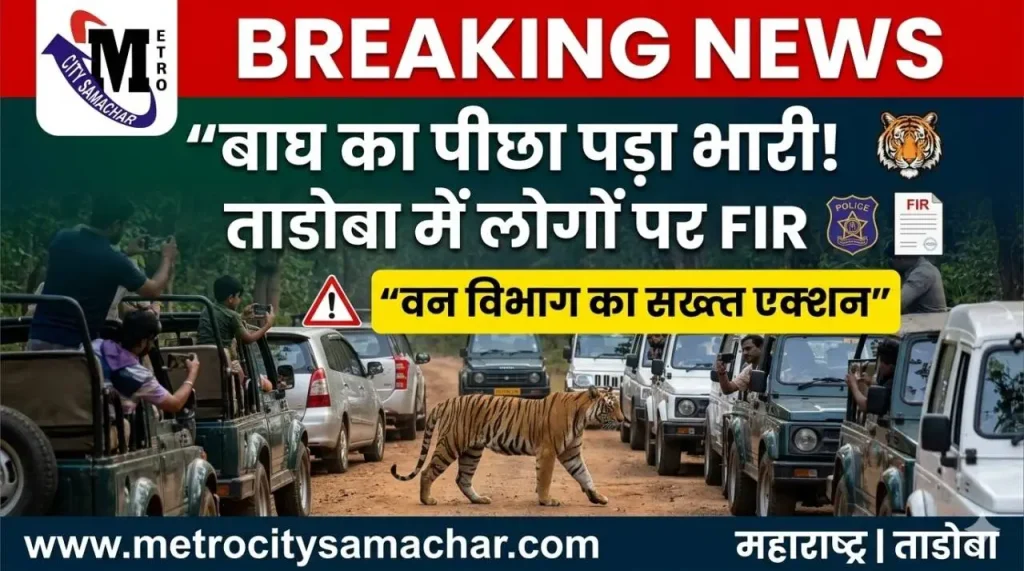 Tadoba tiger reserve news