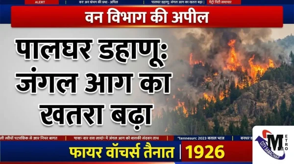 Palghar Dahanu fire alert
