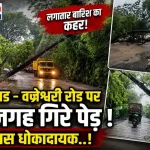 शिरसाड-वज्रेश्वरी मार्ग पर लगातार बारिश के कारण सड़क पर गिरा विशाल पेड़।