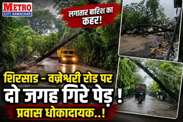 शिरसाड-वज्रेश्वरी मार्ग पर लगातार बारिश के कारण सड़क पर गिरा विशाल पेड़।